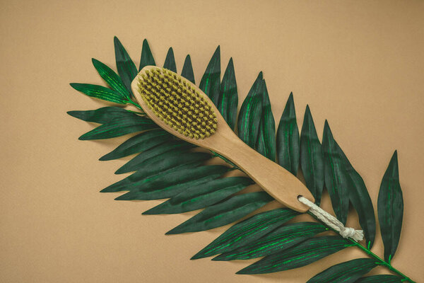 flat lay brush for anti cellulite dry massage on a palm leaf beige background,self care and spa concept