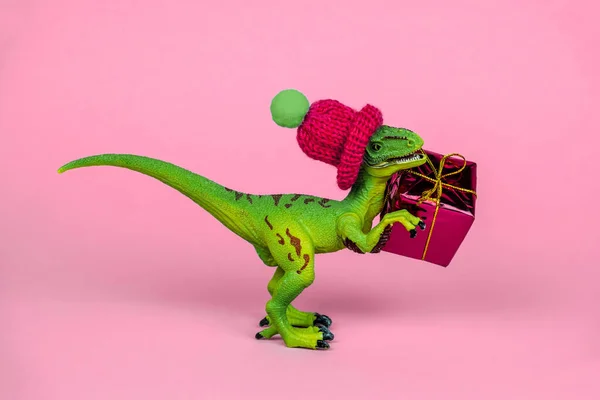 Niedlichen Grünen Kunststoff Spielzeug Dinosaurier Mit Strickmütze Und Hält Geschenk — Stockfoto