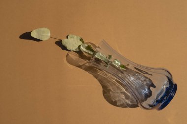 Üst görünüm düz okaliptüs, kahverengi bir zemin üzerinde mavi cam bir vazoda kurumuş bir dal yatıyordu.