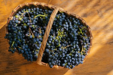 Tahta bir masada güneş ışığında kırmızı üzümle dolu bir sepet.