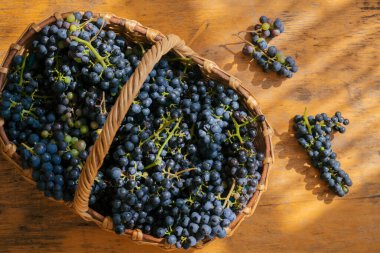 Tahta bir masada güneş ışığında kırmızı üzümle dolu bir sepet.