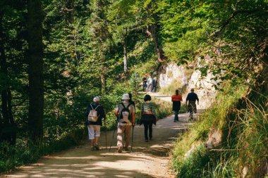 Sochi, Rusya, 17 Eylül 2020 - bir dağ yolunda yürüyen turist grubu