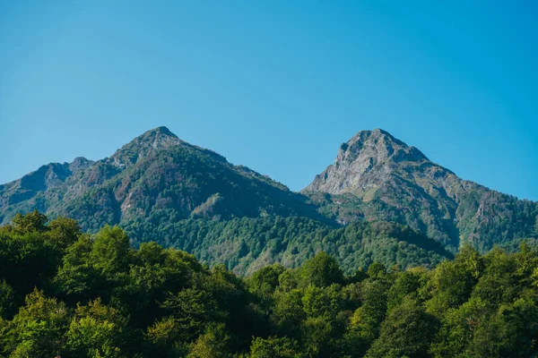 Φυσικό Τοπίο Ταπετσαρία Ψηλά Βουνά Και Δάσος Ενάντια Ένα Γαλάζιο — Φωτογραφία Αρχείου