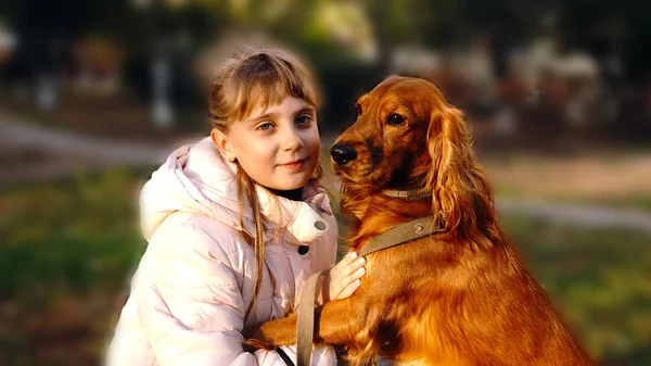 Küçük kız köpek arıyorum                            