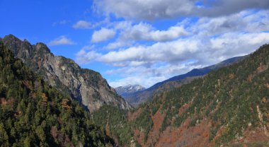 Tateyama Kurobe Alp Rotası 'nın sonbahar manzarası, Toyama Bölgesi Japonya.