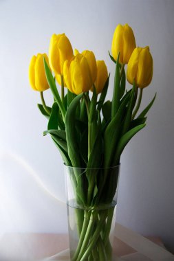 Vazodaki sarı laleler
