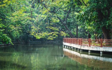 Kanal içinde ağaç tarafından kaplı yeşil park yanında kırmızı balkon.