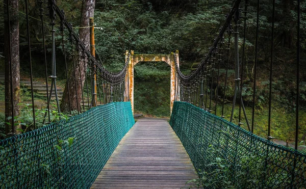 緑豊かな熱帯森林公園内の古い汚れたゲートに掛かっている木製の橋の遊歩道 — ストック写真