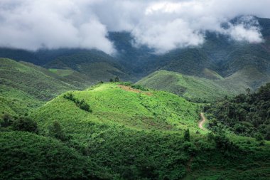 Yağmur sonra yeşil dağ üzerinde parlayan yumuşak güneş ışığı. Bulut ve sis tarafından yağışlı sezon tropikal yağmur ormanları bölgeyi genel.