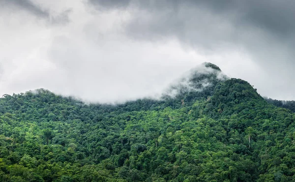 Grüner Berg Tropischen Regenwald Mit Wolken Bedeckt Bevor Regen Kommt — Stockfoto