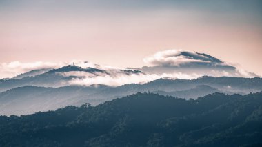 Dağ sis ve bulut yağmur ormanları park alanı Chiangmai, Tayland içinde kapsadığı kış sahne.