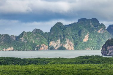 Mangrov orman içinde Körfez Phang Nga, Tayland ile adalar, bulutlu gün.