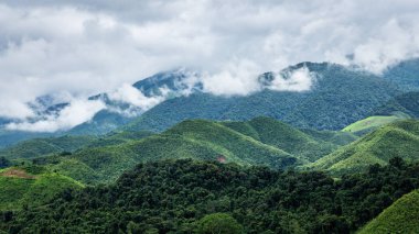 Dağ yeşil rainforest park Nan, Tayland içinde bulutlu gün içinde yeşil ağaç tarafından kapalı.