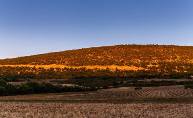 Fransa 'nın Provence şehrinde hasat mevsiminden sonra lavanta tarlasını kaplayan güneş ışığının dağlara değdiği kış sabahı manzarası.