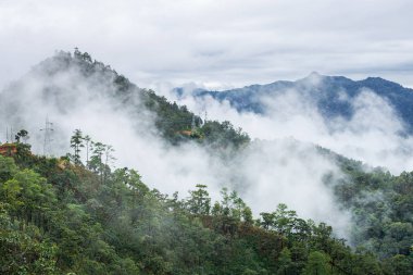 Chiangmai, Tayland 'ın kış mevsiminde sis ve bulutlarla kaplı yağmur ormanlarının hava manzarası.