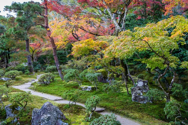 Красочные деревья в тропическом парке Японии — стоковое фото