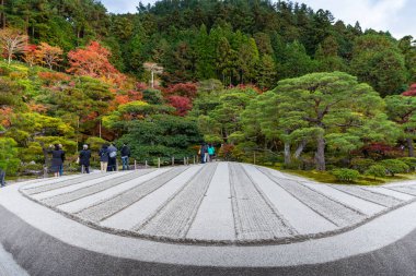 Sonbaharda Kyoto'nun renkli parkı