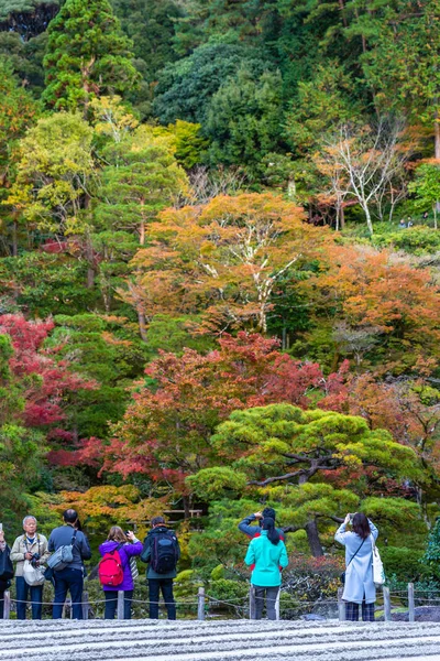 秋天京都五颜六色的公园 — 图库照片