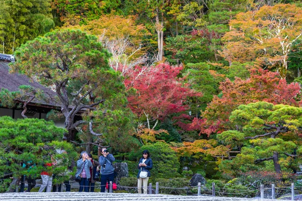 秋の京都のカラフルな公園 — ストック写真