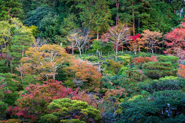 秋の京都のカラフルな公園 — ストック写真
