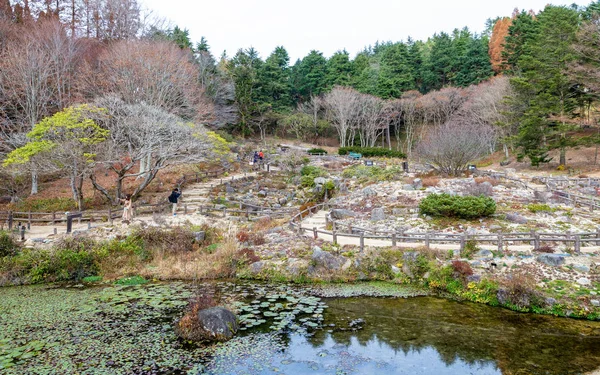 秋の六甲高山植物園 — ストック写真