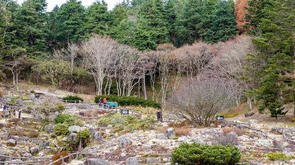 秋季罗克科高山植物园 — 图库照片