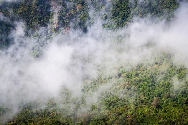 Luftaufnahme des tropischen Regenwaldes, bedeckt von Wolken und Nebel — Stockfoto