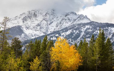 Grand Teton Ulusal Parkı 'nda kar ve bulutla kaplı bir dağ.