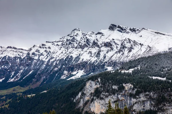 Cordillera Nevada Durante Invierno Suiza Bosque Pinos Colina Cubierta Nieve —  Fotos de Stock