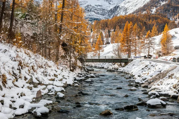 Paisaje Arroyo Rocoso Junto Bosques Pinos Cubiertos Nieve Invierno Zermatt —  Fotos de Stock