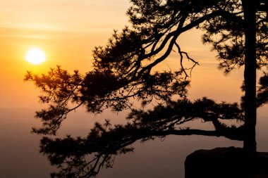 Yaz mevsiminde tropikal yağmur ormanlarının içindeki kuraklık nehrinden yansıyan suyla dolu kaya göleti, Phu Kradueng, Tayland.