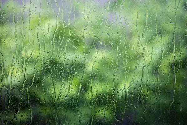 緑の木々の背景がぼやけて雨の間に水を濡らした透明なガラス窓を流れる — ストック写真