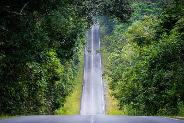 Straight Roadway Hill Slope Mountain Tropical Rainforest Alongside Covering Green — Stock Photo, Image