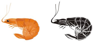 renkli ve siyah-beyaz karides