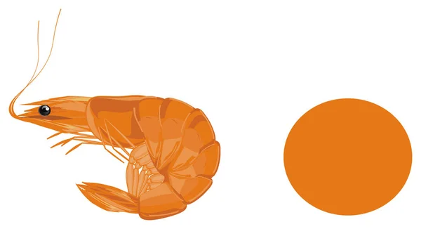 Een Oranje Garnalen Met Schone Oranje Teken — Stockfoto