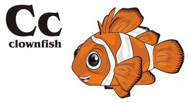 gülümseyen turuncu clownfish ve siyah abc