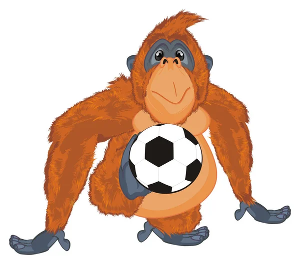 Drôle Orange Orang Utan Tenir Ballon Football — Photo