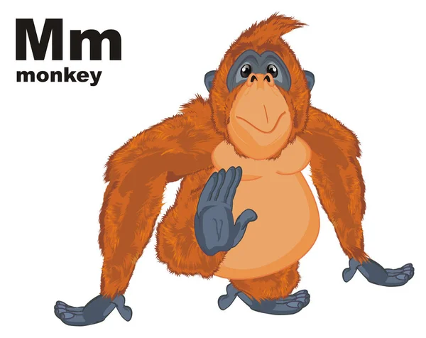 Funny Orange Orangutan Black Abc — Stock Photo, Image