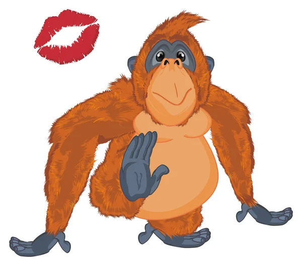 Смешной Оранжевый Орангутан Красный Поцелуй — стоковое фото