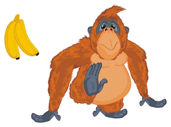 Смешной Орангутанг Ест Банан — стоковое фото
