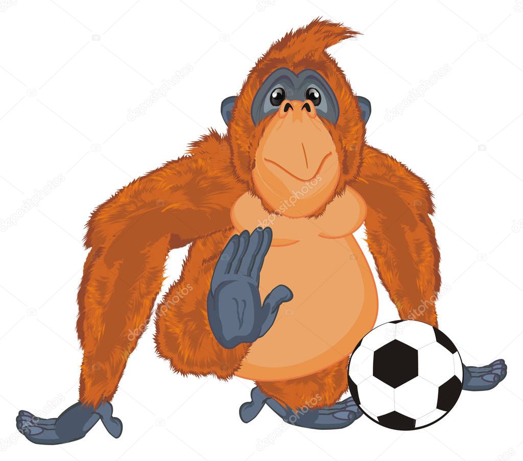 funny orange orangutan with a soccer ball