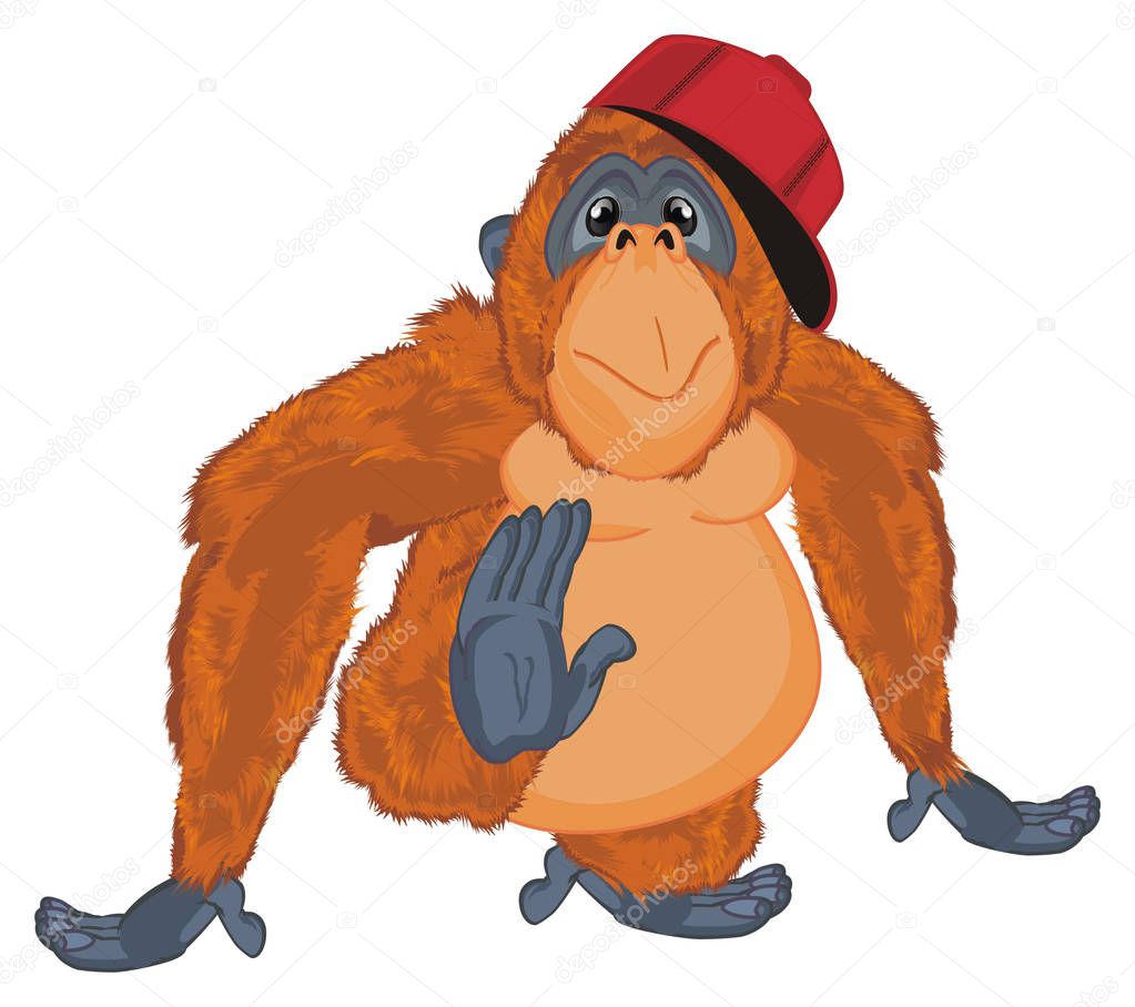 funny orange orangutan in red cap