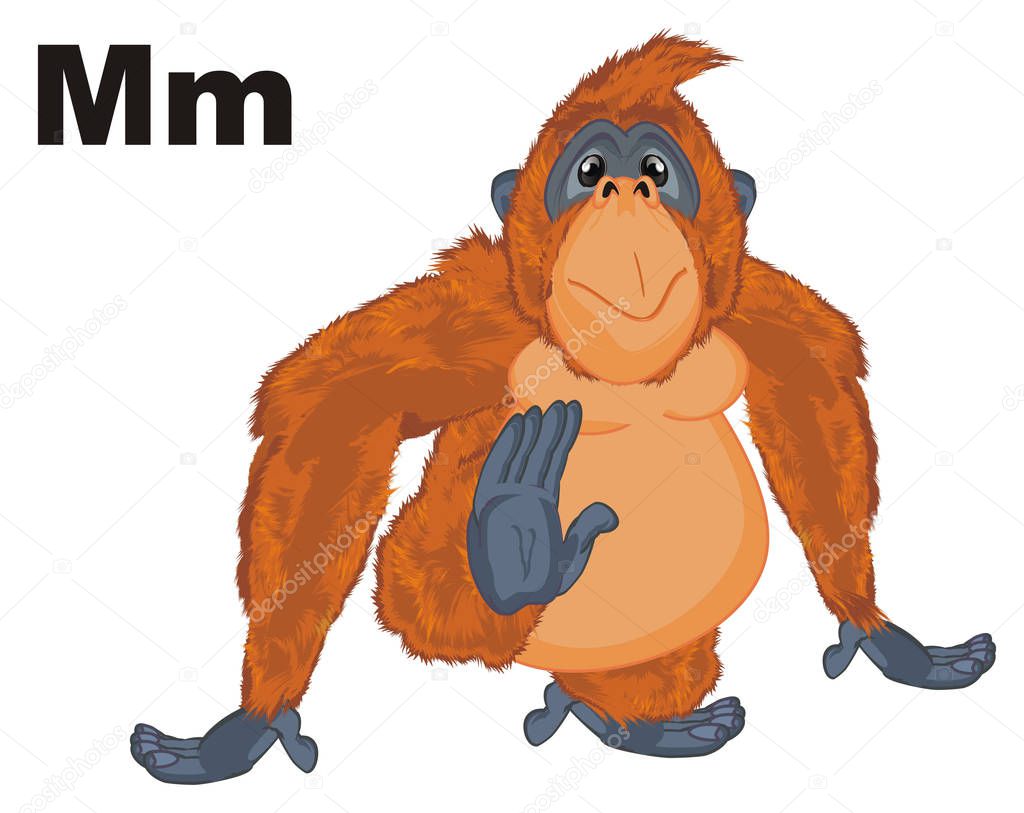 funny orange orangutan and letters m 