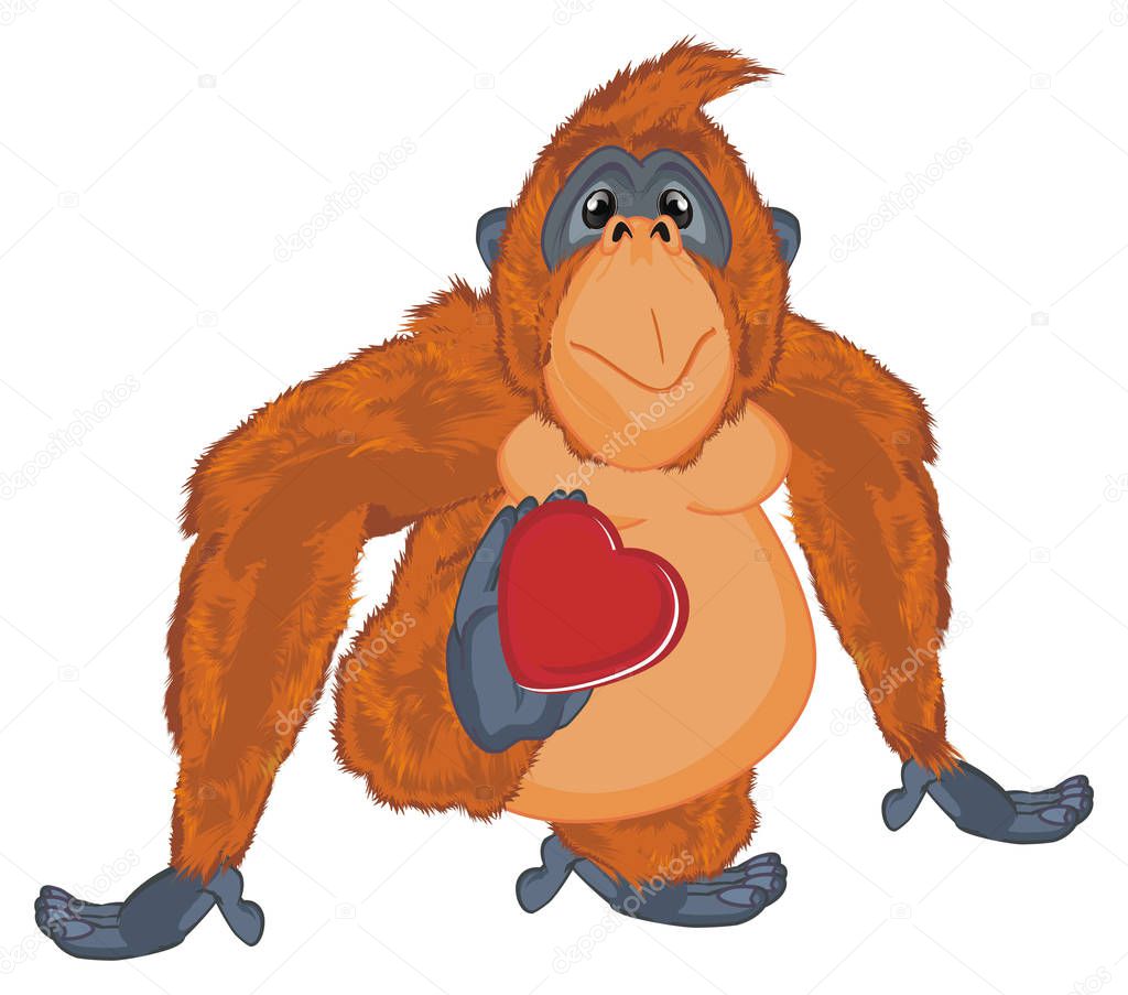 funny orange orangutan hold a red heart