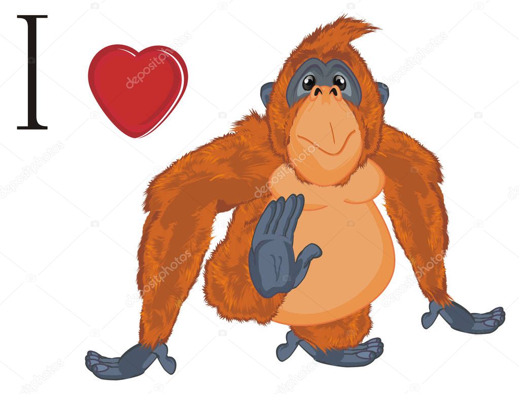i love funny orange orangutan