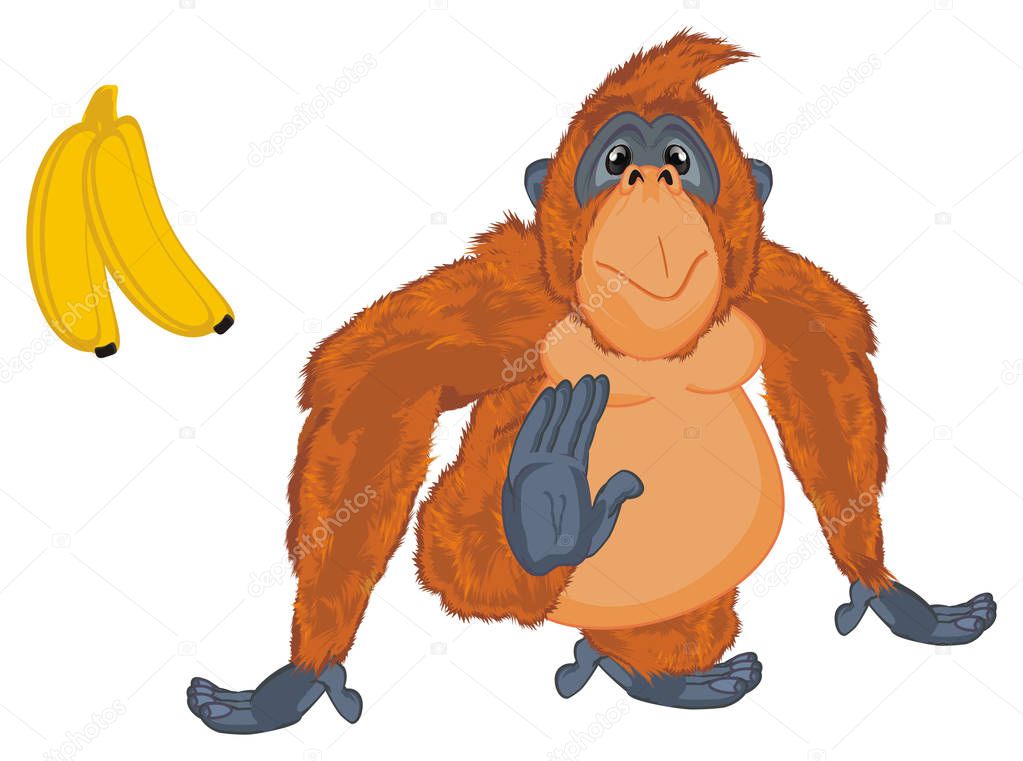 funny orange orangutan eat banana
