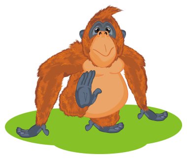 yeşil çimenlerin üzerinde komik turuncu orangutan