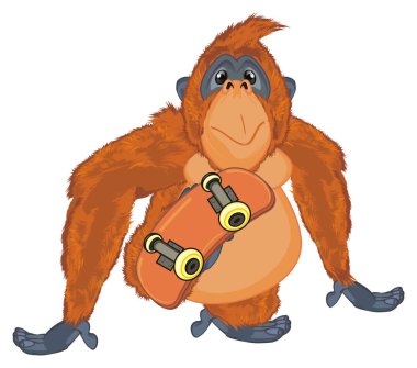 komik turuncu orangutan tutun bir kaykay