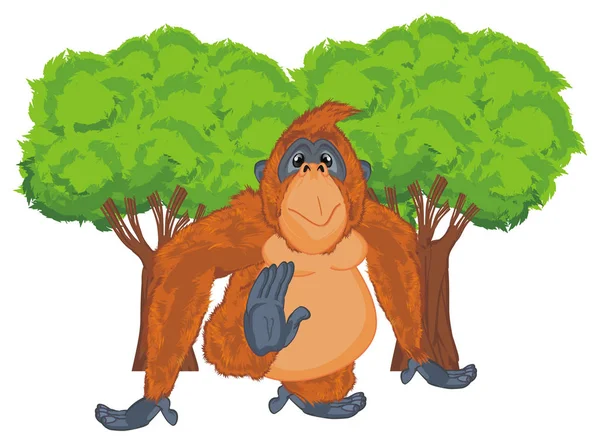 Orangután Naranja Divertido Voz Alta Los Árboles —  Fotos de Stock
