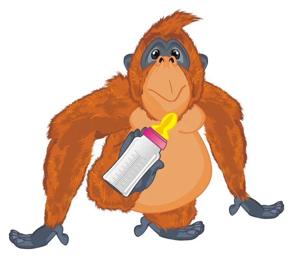 有趣的橙色猩猩抱瓶牛奶 — 图库照片